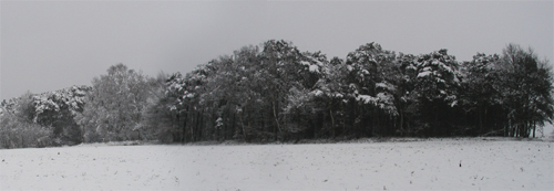 unloaded picture, try CTRL + F5 