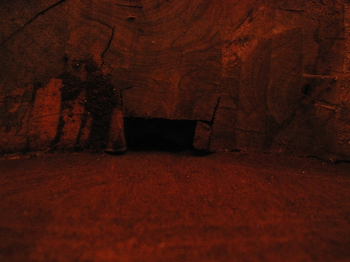 unloaded picture, try CTRL + F5 