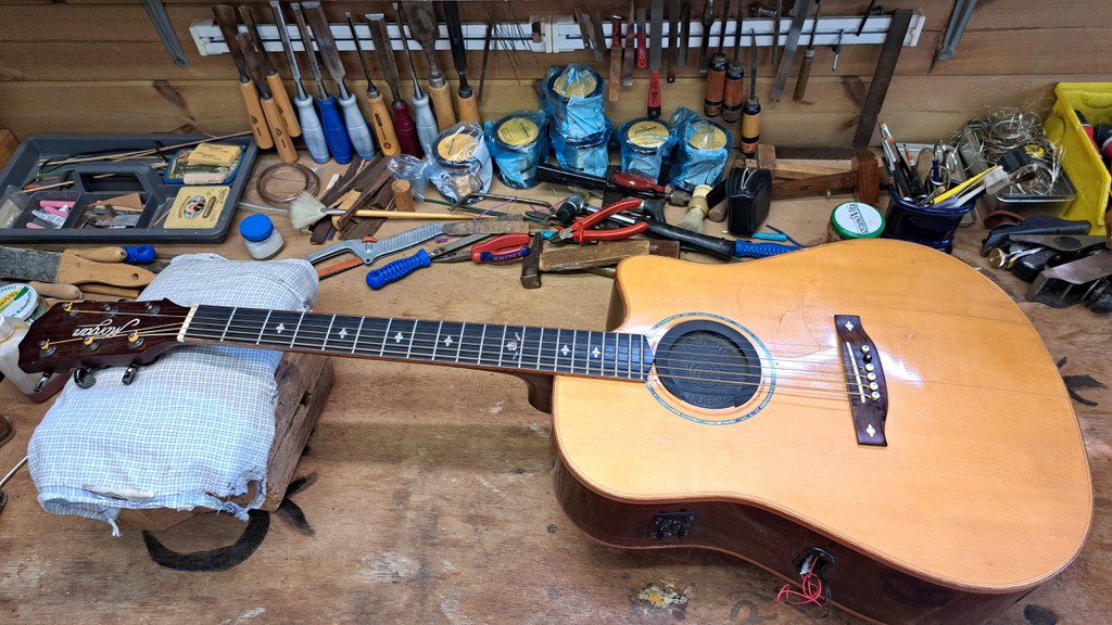 Sarod Guitar / mod II Sarod Guitar / mod II