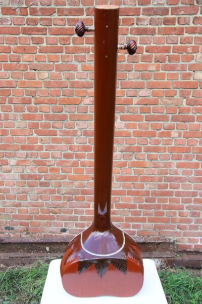 IMG_0941_core Cutaway Tanpura